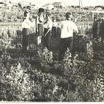 Пионерский лагерь в Симоновке (1968 год)