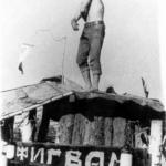 1973_B003 FigVam73_3.jpg
