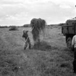 1978_0515