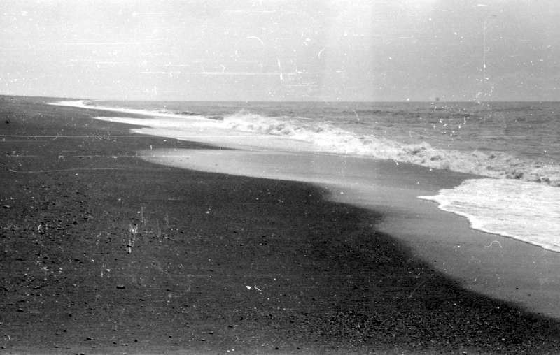 1979_P017