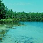 F1000070